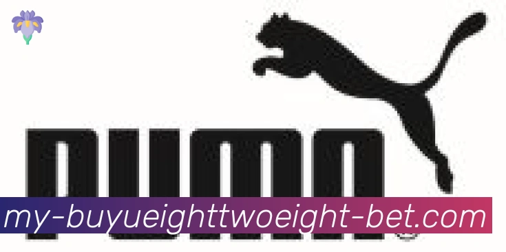 828捕鱼合作伙伴